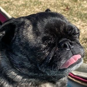 Meet your Posher, Connor